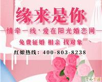 爱与相助 如何选择靠谱的婚介服务，让缘分如期而至